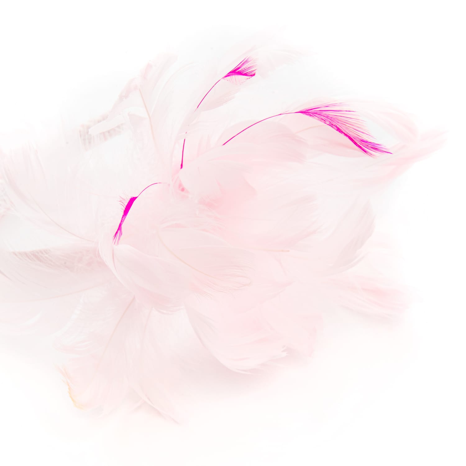 BHM23FEATHERPINK