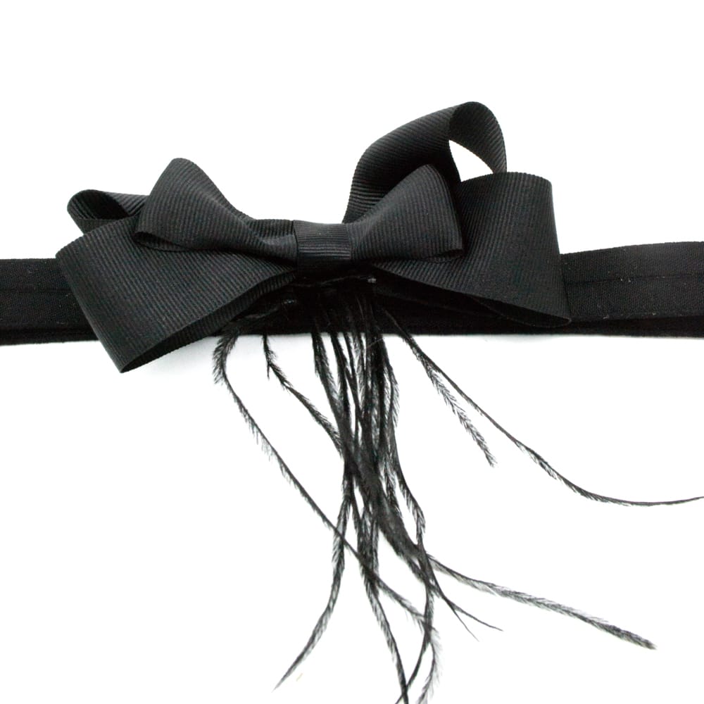 FEATHERBOWRIBBON