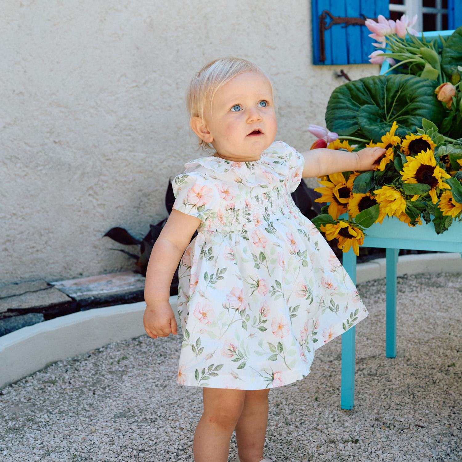 PAP/VET4233240-Z0143