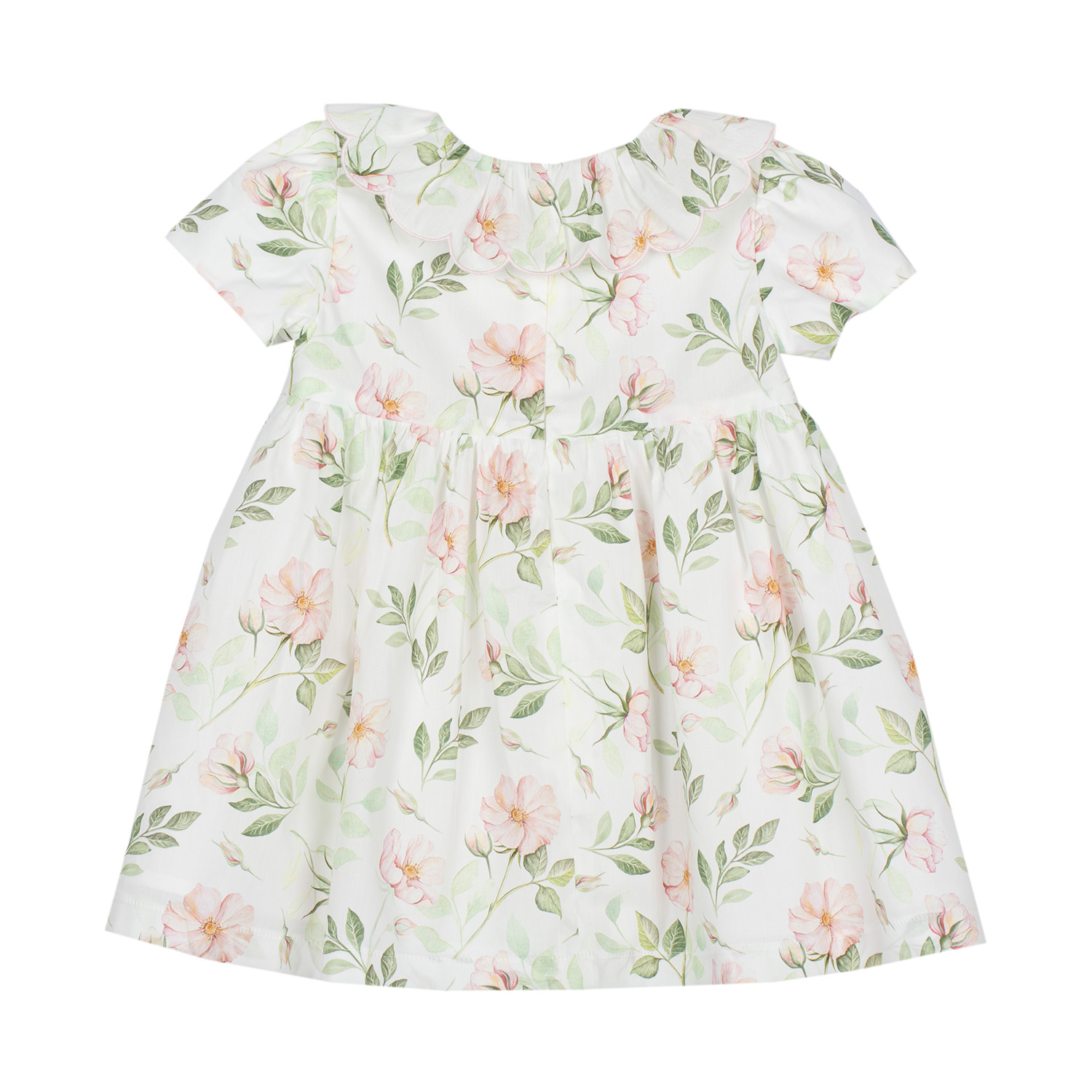 PAP/VET4233240-Z0143