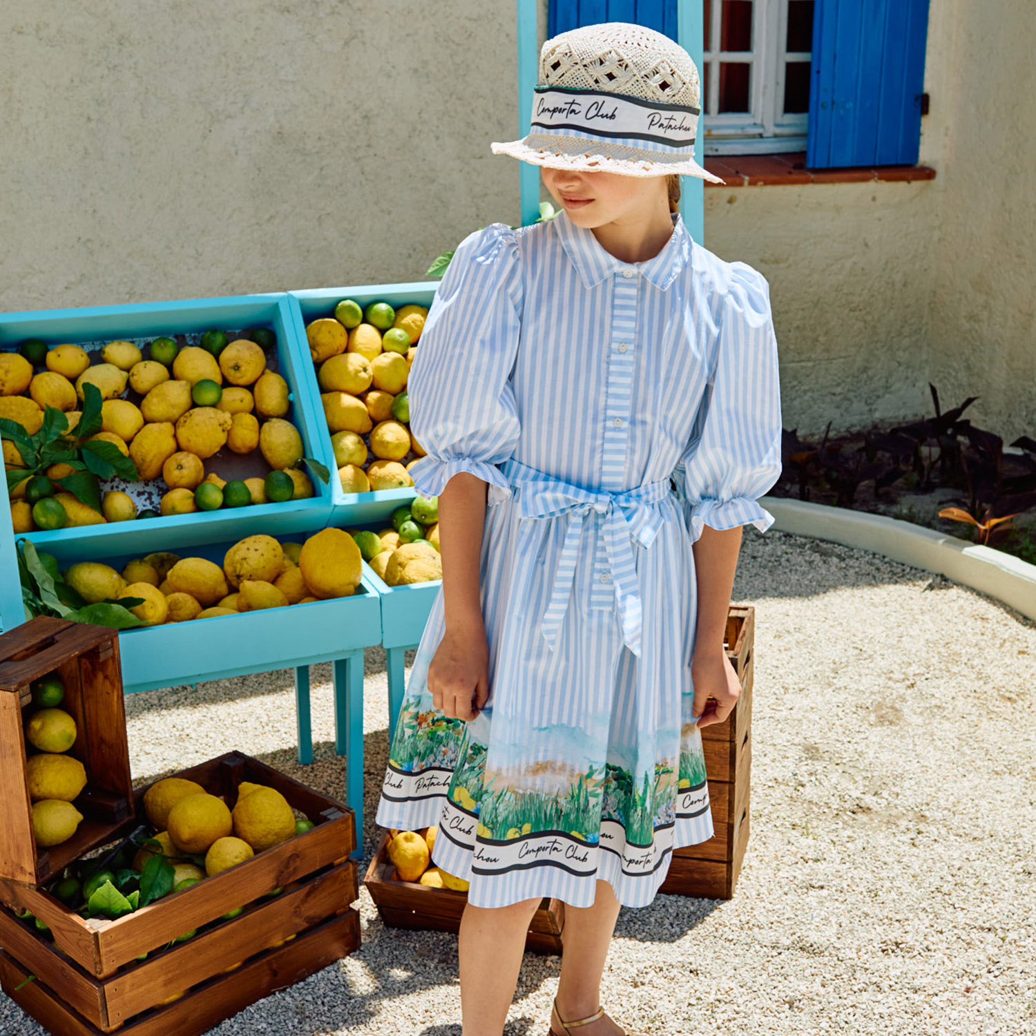 PAP/VET4233420-Z0147