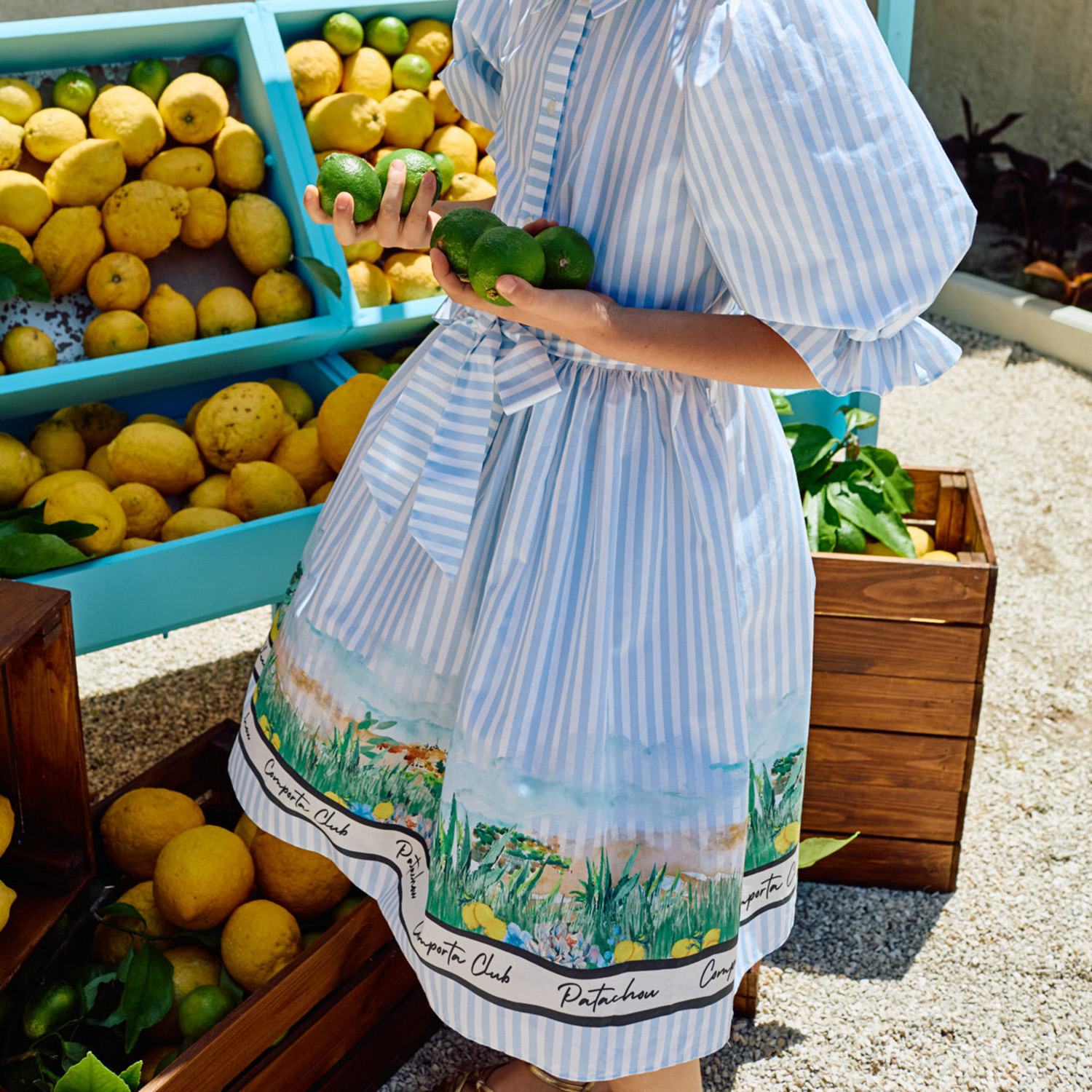 PAP/VET4233420-Z0147