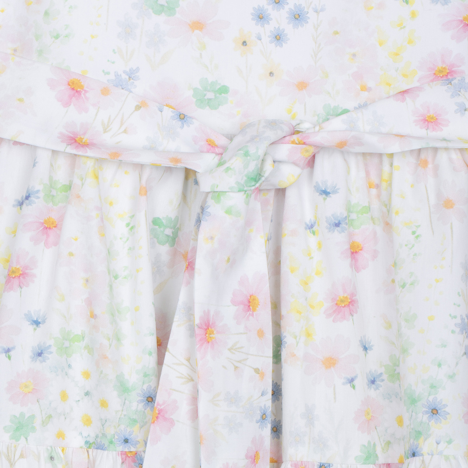 PAP/VET4233620-N0022