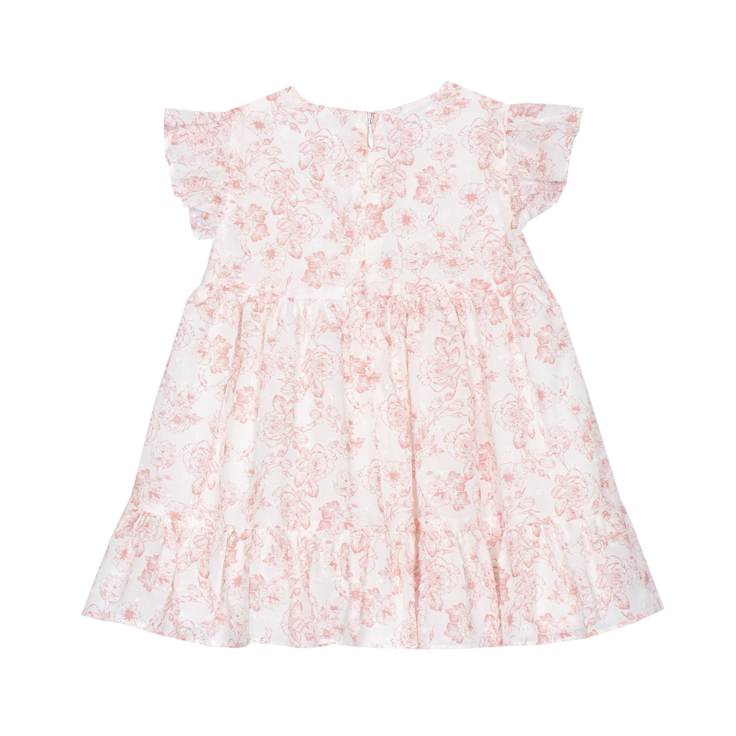 PAP/VET4233203-P0080