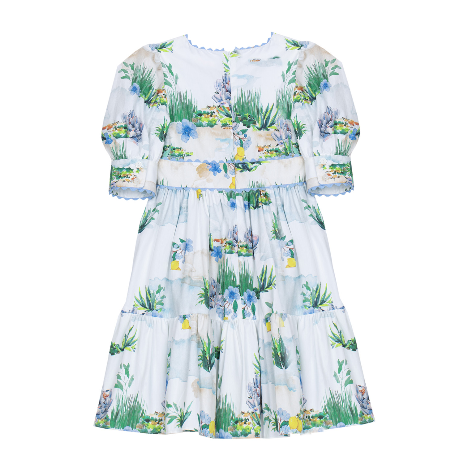 PAP/VET4233421-Z0148