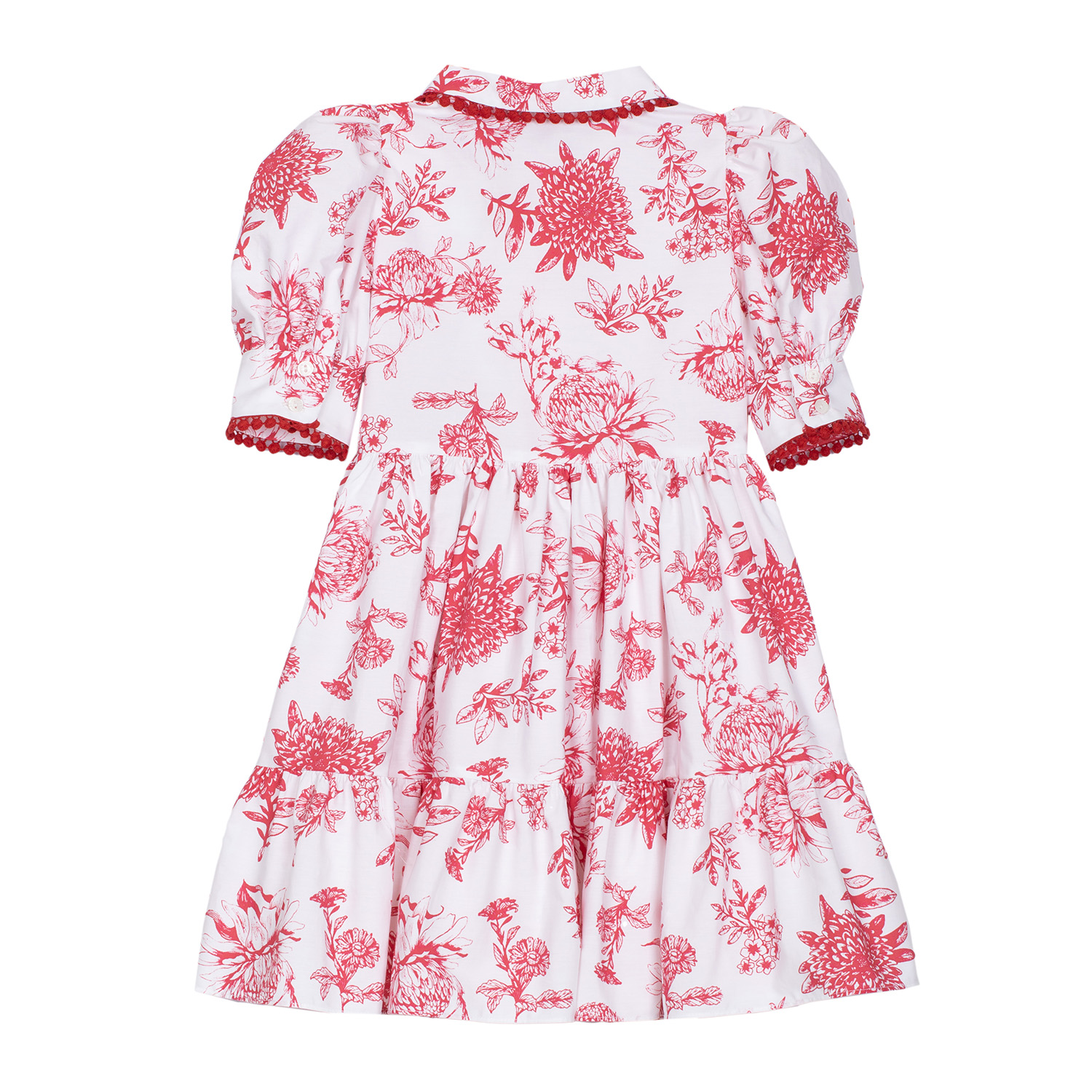 PAP/VET4233443-R0012